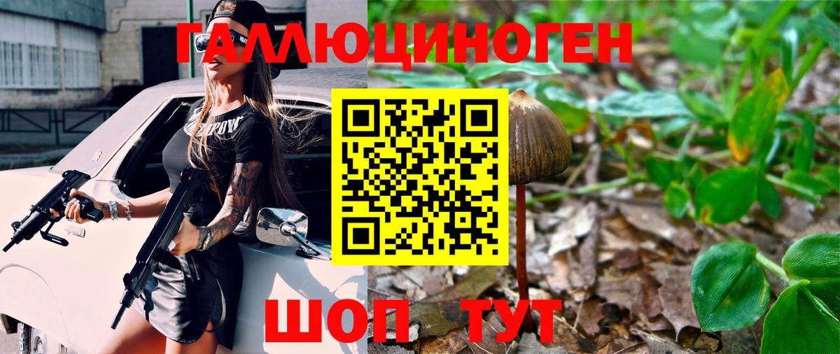 Псилоцибиновые грибы Magic Shrooms Донецк