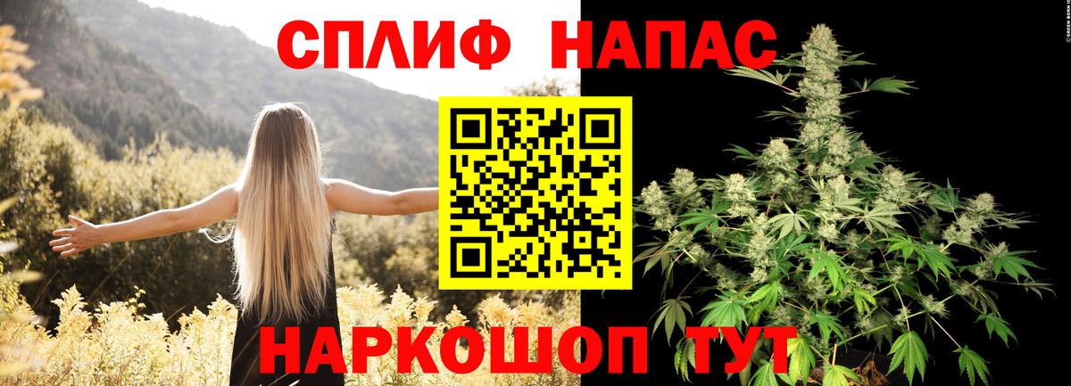 Бошки Шишки Amnesia Донецк